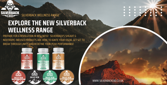 🌿 ELEVATE YOUR WELLNESS JOURNEY WITH OUR NEW SILVERBACK CBD WELLNESS RANGE! 🦍