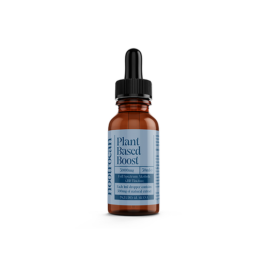 Nootrocan 3000mg 10% Full-Spectrum CBD Nootropic Tincture - 30ml - Flavour: Relax & Unwind