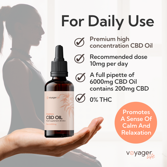 Voyager Life CBD Mend Oil 6000mg with Terpenes