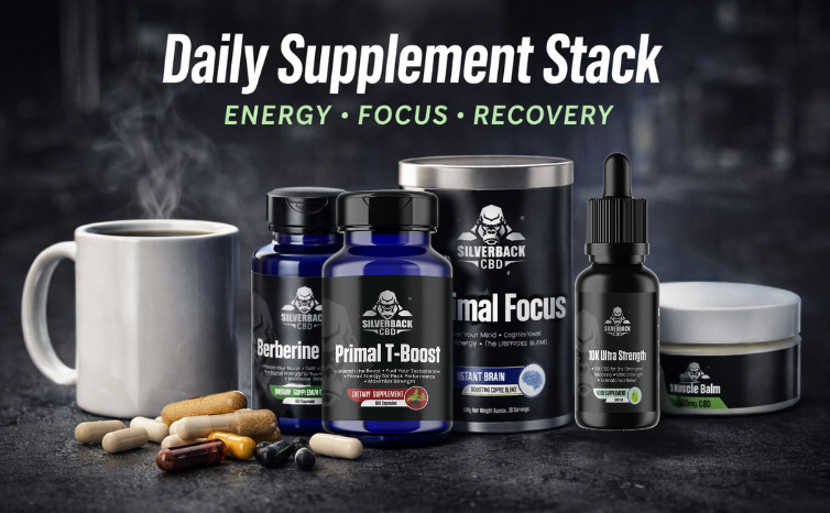Best Daily Supplement Stack for Energy, Focus & Recovery (2026 Guide)