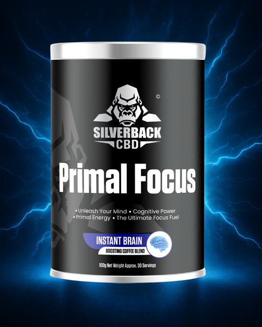 Nootropics for Focus & Mental Clarity: How They Support Brain Performance