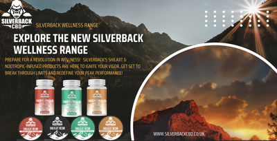🌿 ELEVATE YOUR WELLNESS JOURNEY WITH OUR NEW SILVERBACK WELLNESS RANGE! 🦍