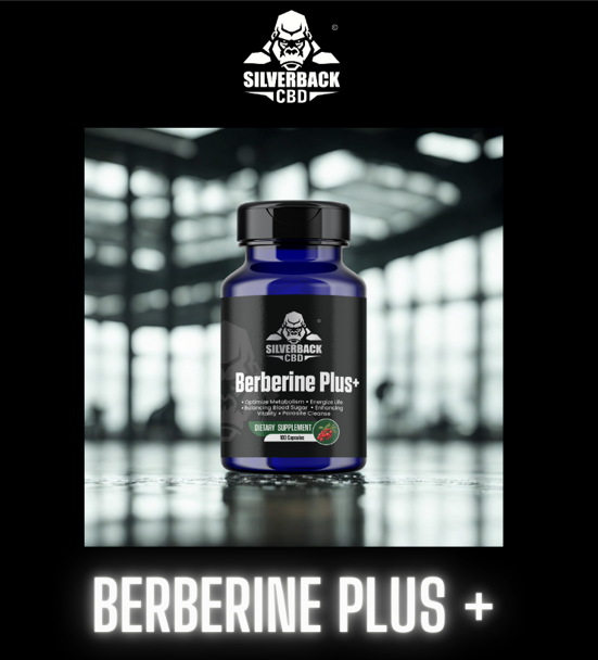Berberine & Metabolic Health: Supporting Blood Sugar, Energy & Weight Balance