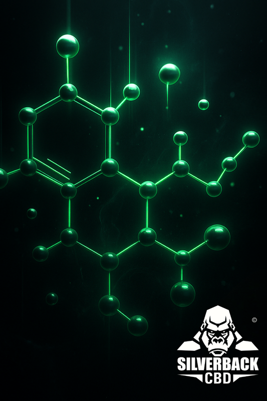 🧠 The Evolution of CBD — What 2025 Looks Like for Wellness Brands