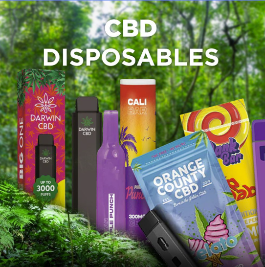 Disposable Vapes