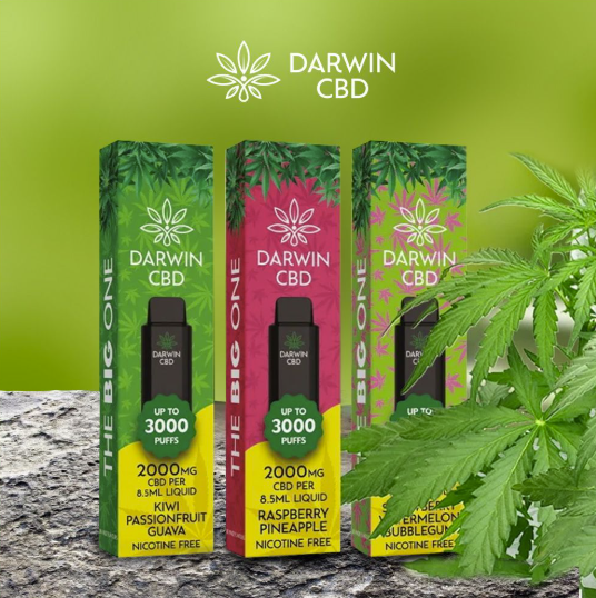 Darwin CBD