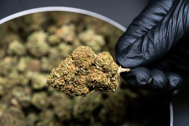 CBD Flowers