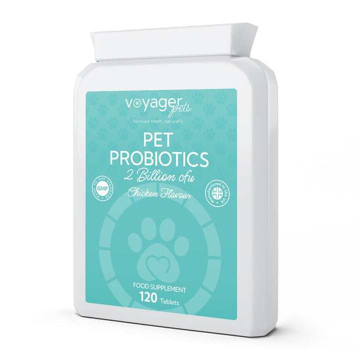 Pet Probiotics 2 Billion