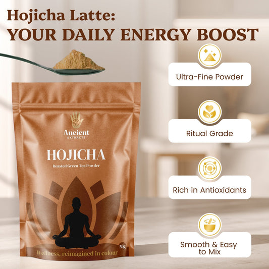 Ancient Extracts - Ritual Grade Hojicha Powder