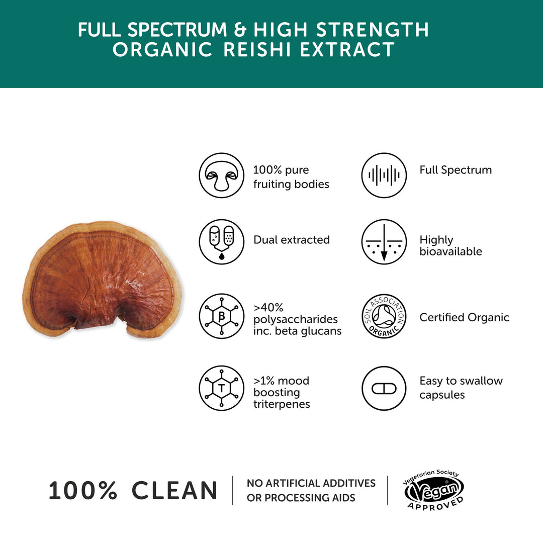 The Positive Company -Reishi Mushroom 10,300mg - High Strength – 60 Capsules