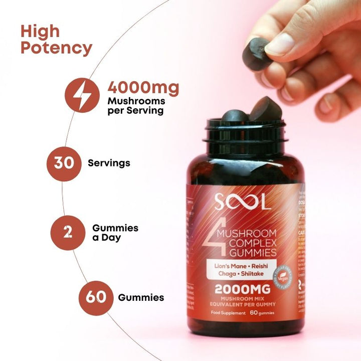 Sool 4 Mushroom Gummies 60pcs - Berry Flavour - Lion's Mane, Chaga, Reishi, Shiitake