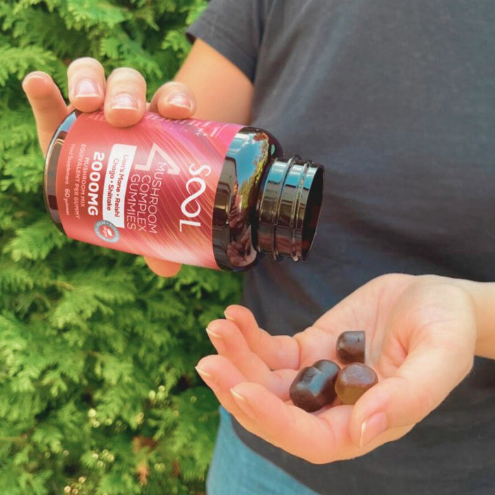Sool 4 Mushroom Gummies 60pcs - Berry Flavour - Lion's Mane, Chaga, Reishi, Shiitake