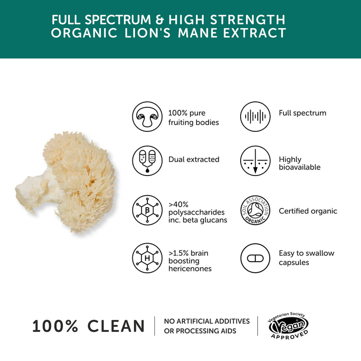 The Positive Company - Lion’s Mane Mushroom 9740 mg — High Strength | 60 Capsules
