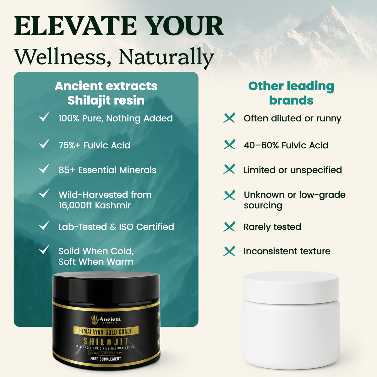 Ancient Extracts - Detox Pair - Shilajit Resin & Reishi Mushroom Extract