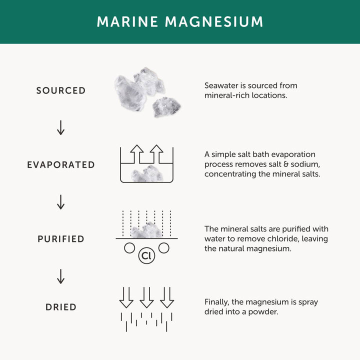 The Positive Company - Magnesium Supplement