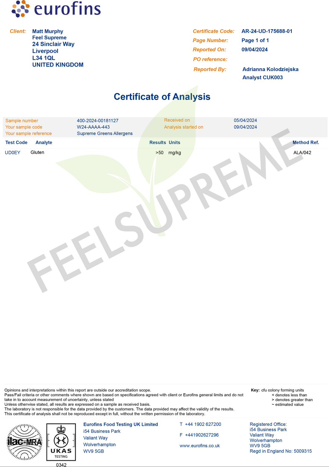 Feel Supreme - Supreme Greens And Mushroom Superfood Blend