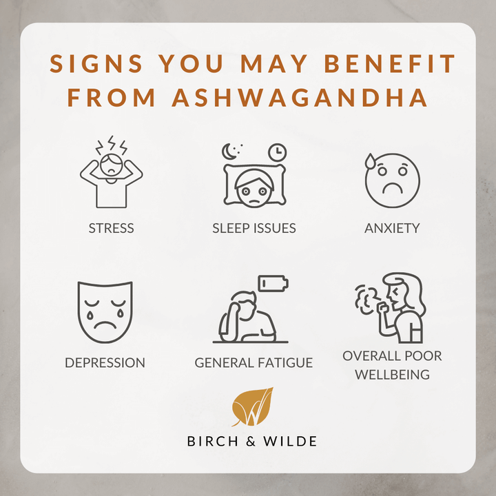Organic Ashwagandha KSM-66 Capsules | 600mg dose | Bottle or Refill pouch
