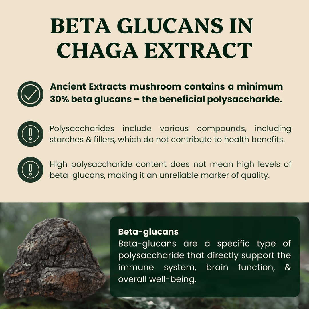 Ancient Extracts - Chaga Mushroom Extract Powder