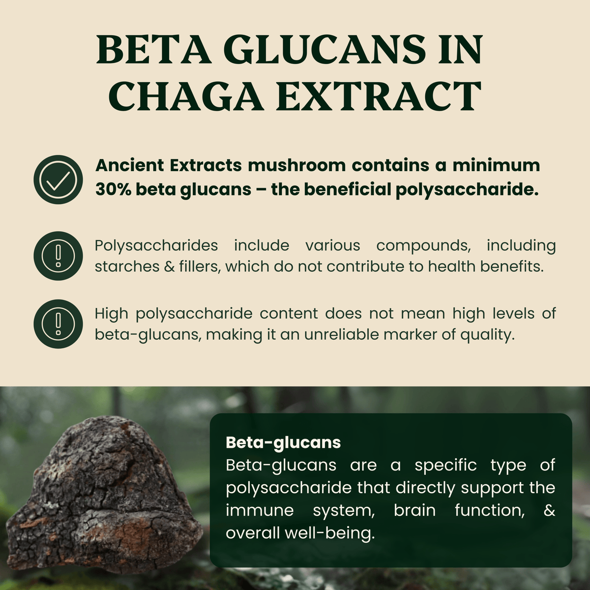 Ancient Extracts - Chaga Mushroom Extract Powder