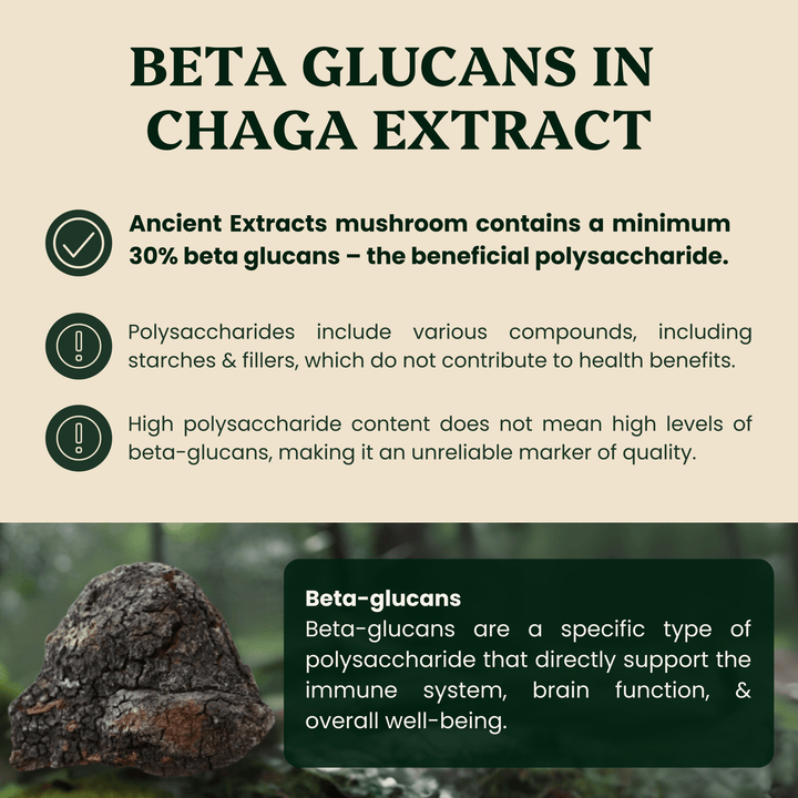 Ancient Extracts - Chaga Mushroom Extract Powder