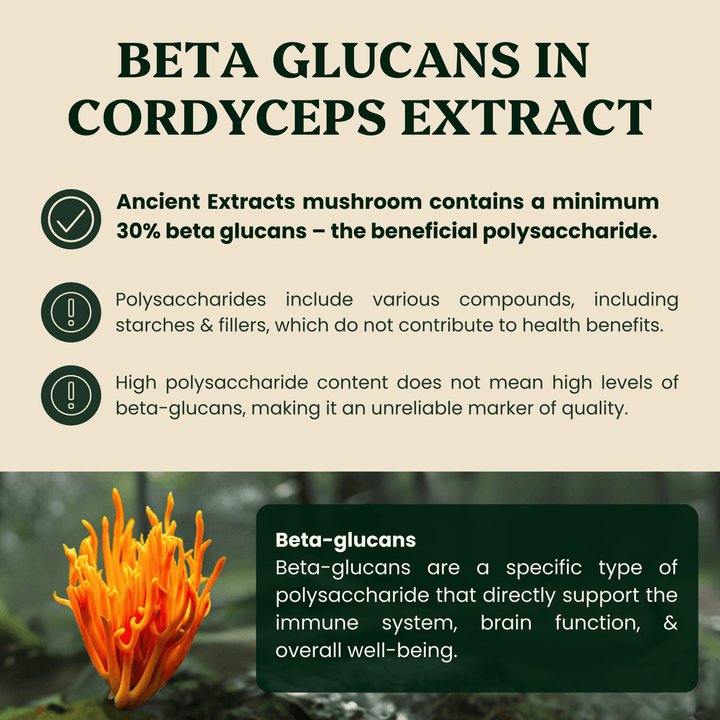 Ancient Extracts - Energy Pair Cordyceps & Chaga Extracts