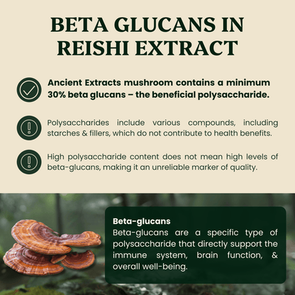 Ancient Extracts - Reishi Mushroom Extract Powder