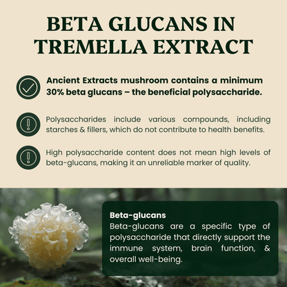 Ancient Extracts - Tremella Mushroom Extract Powder