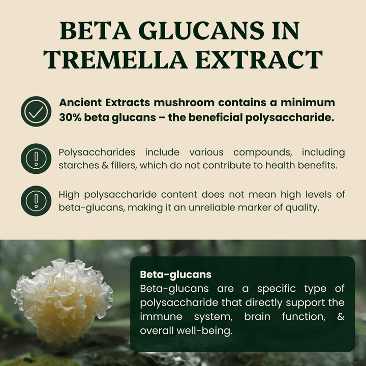 Ancient Extracts - Tremella Mushroom Extract Powder