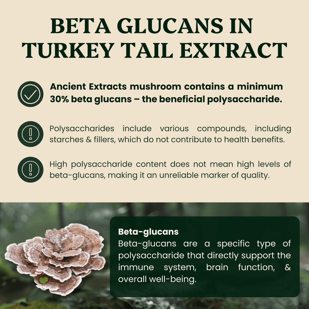 Ancient Extracts - Turkey Tail Mushroom Extract - For Pets