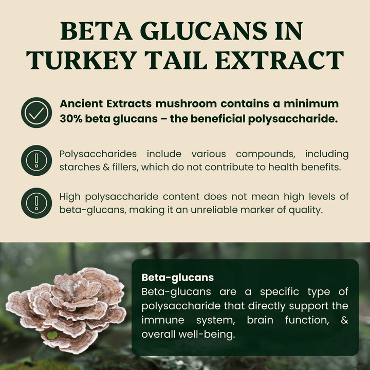 Ancient Extracts - Turkey Tail Mushroom Extract - For Pets