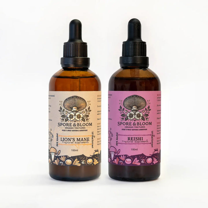 Spore & Bloom - Calm & Focus Stack – Lion’s Mane & Reishi