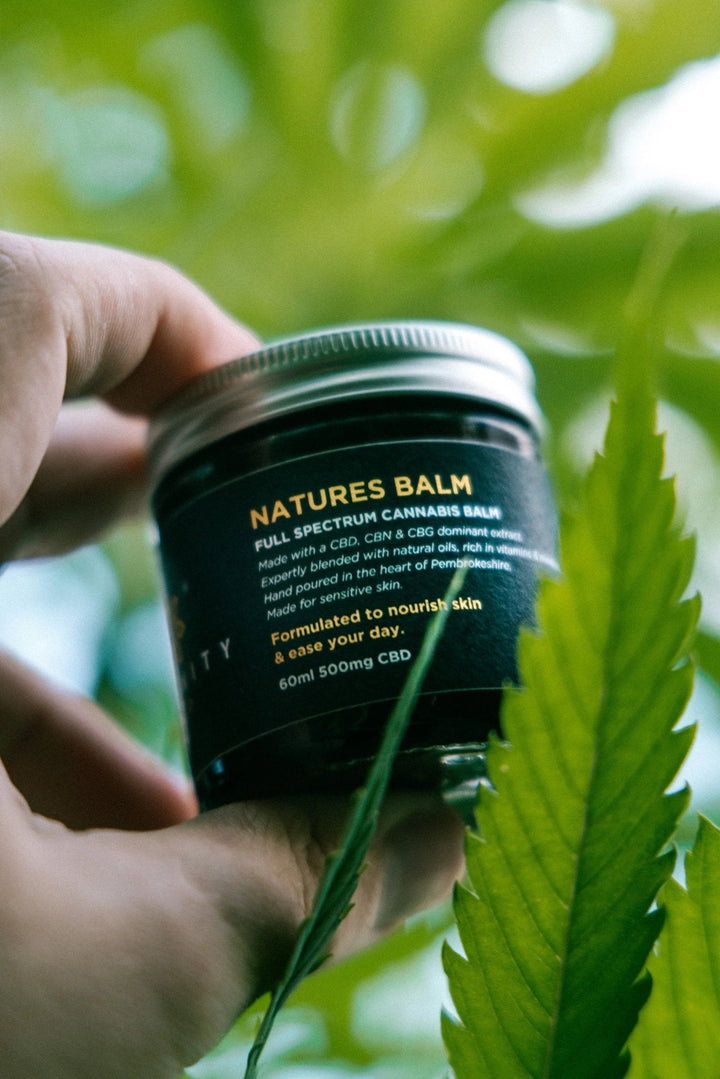 CBD Skin Balm 500mg | Natures Balm| Infinity CBD