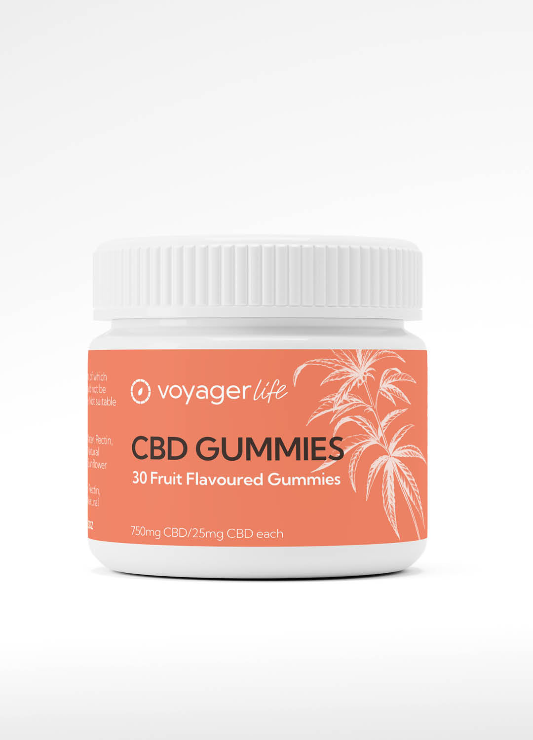 Voyager Life CBD Gummies - Fruit Flavoured