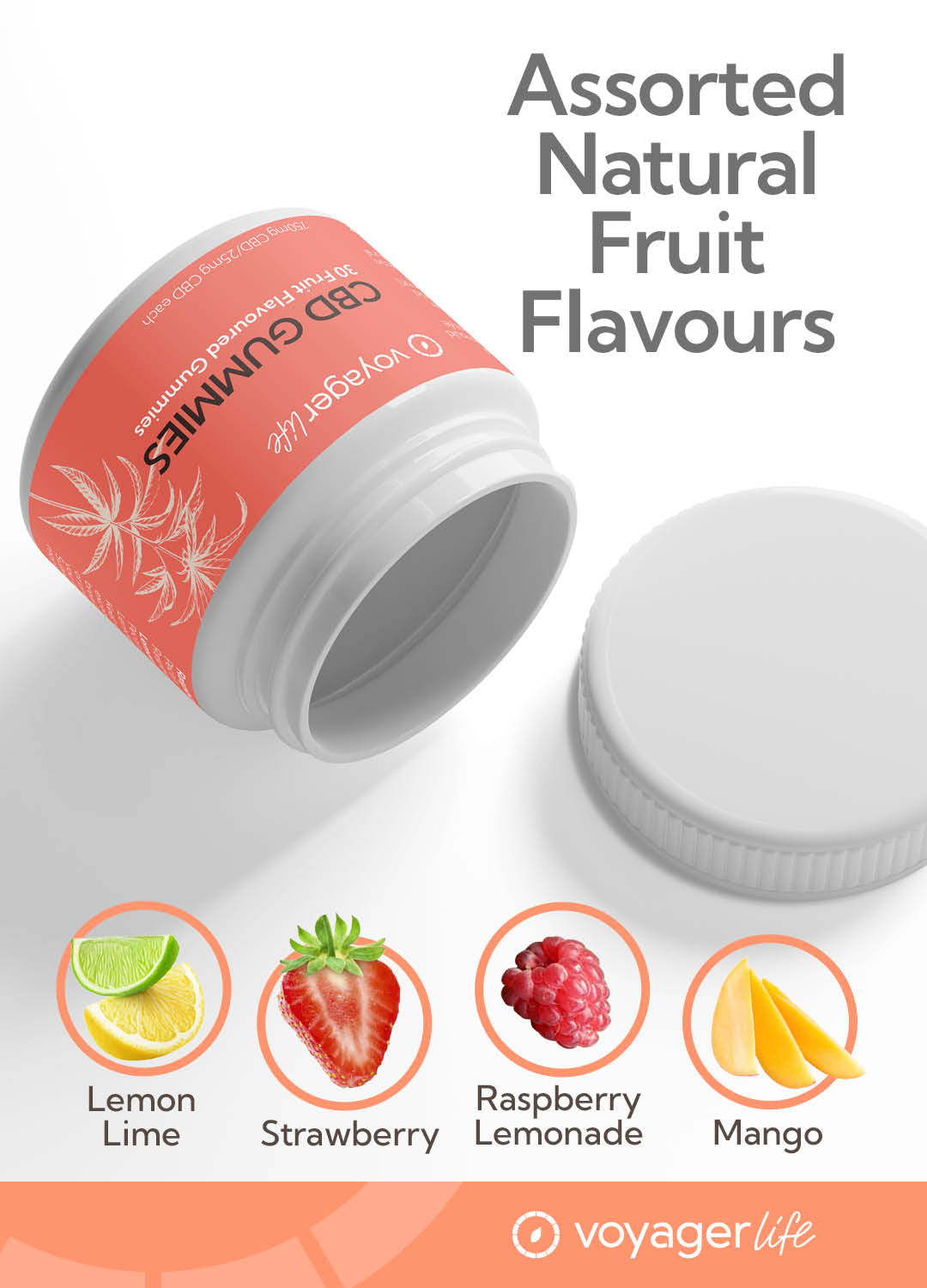 Voyager Life CBD Gummies - Fruit Flavoured
