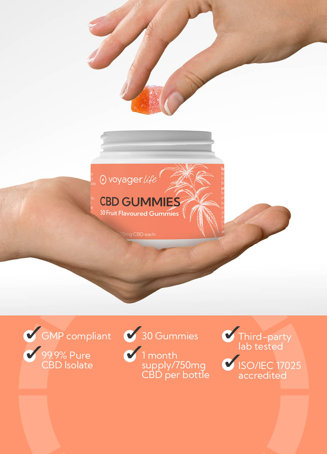 Voyager Life CBD Gummies - Fruit Flavoured