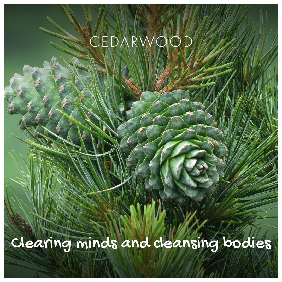 The Positive Company - Cedarwood Natural Soap