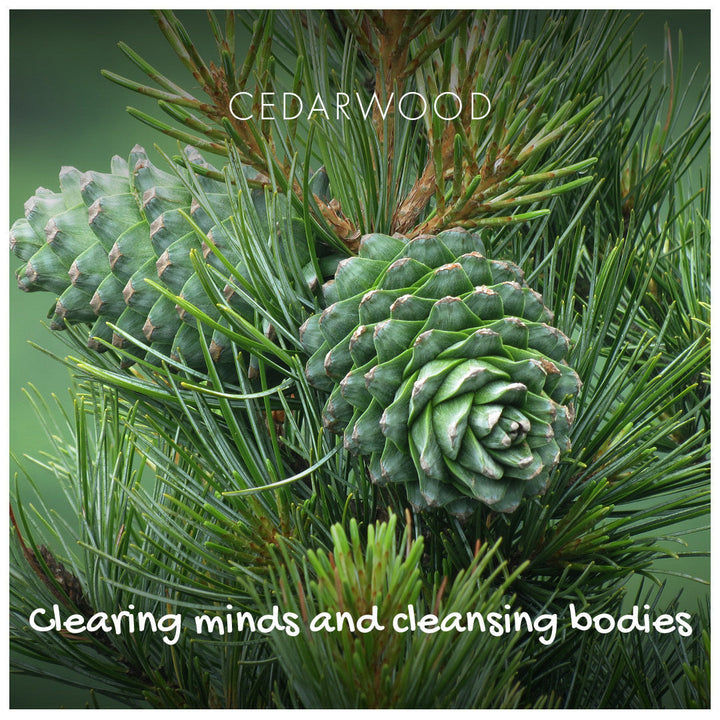 The Positive Company - Cedarwood Natural Soap
