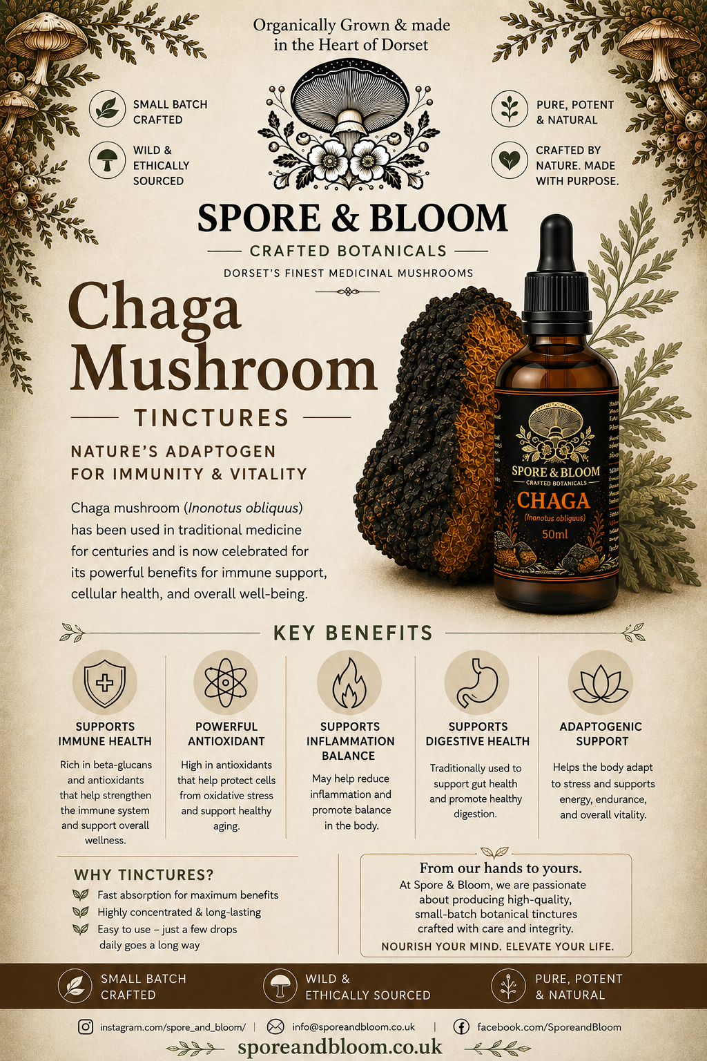 Chaga Mushroom Tincture – Signature Dual Extract