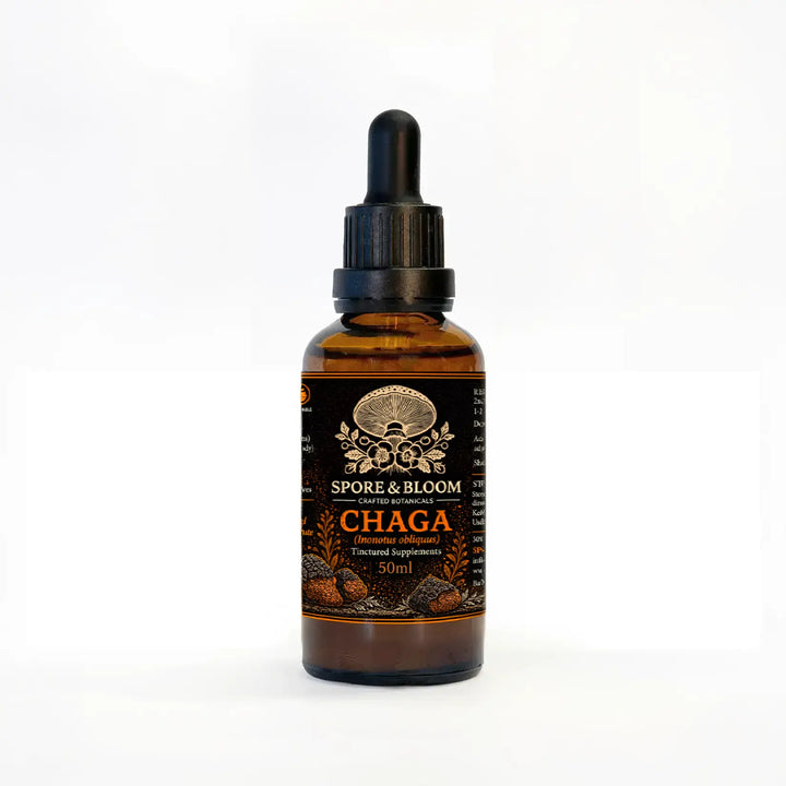 Chaga Mushroom Tincture – Signature Dual Extract