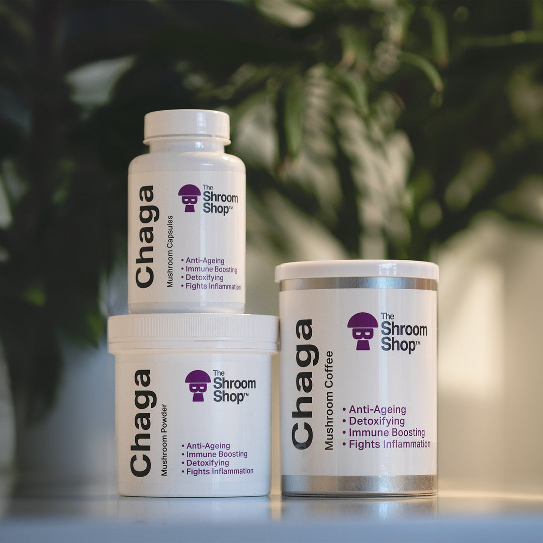 The Shroom Shop -Chaga Mushroom Capsules - BUY 1 GET 1 FREE