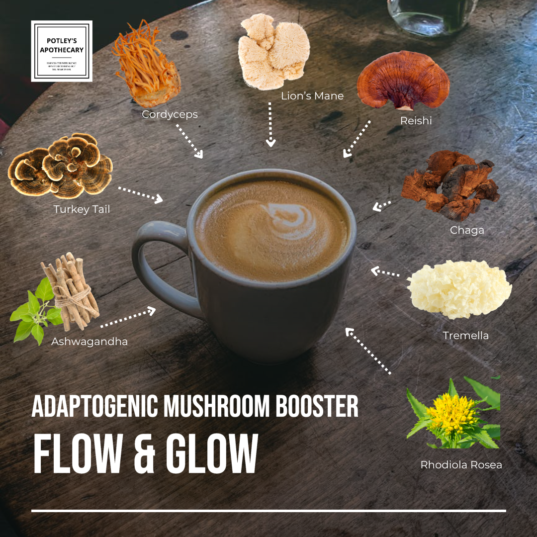 Flow & Glow Mushroom Coffee & Cacao Booster