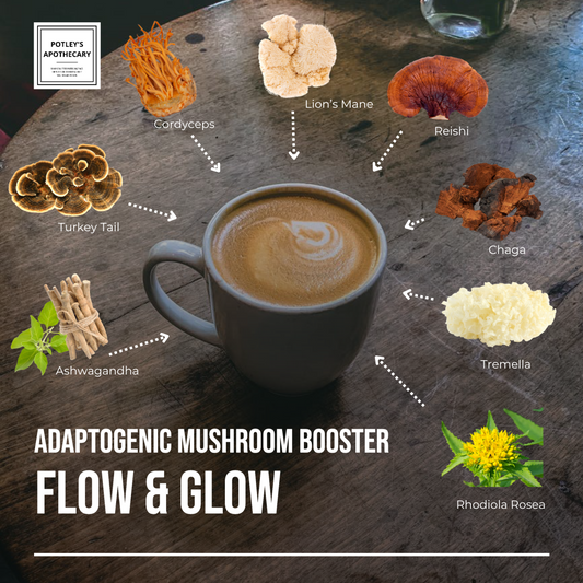 Flow & Glow Mushroom Coffee & Cacao Booster