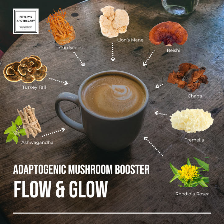 Flow & Glow Mushroom Coffee & Cacao Booster