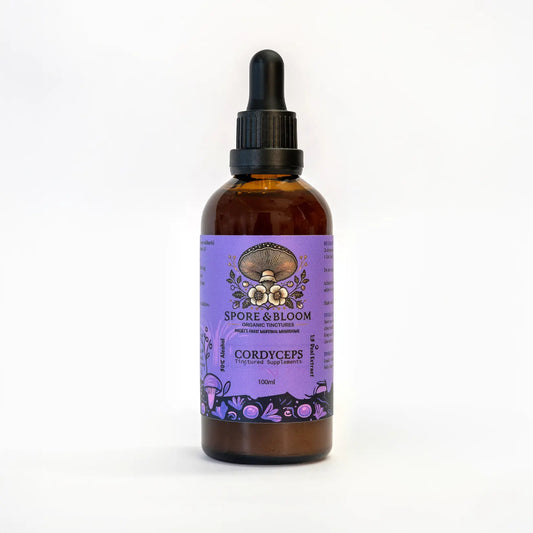 Spore & Bloom - Cordyceps Extract – Energy & Performance