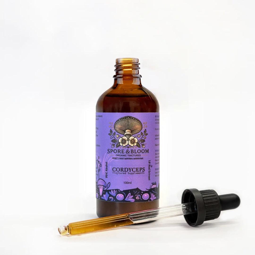 Spore & Bloom - Cordyceps Extract – Energy & Performance