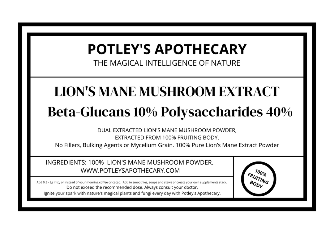 Lion's Mane Extract Powder 10% Beta Glucans, Polysaccharides 40%