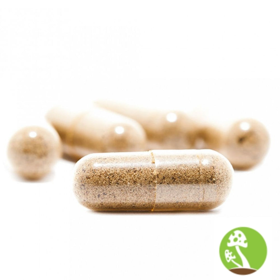 Improved Health Turkey Tail Mushroom Capsule