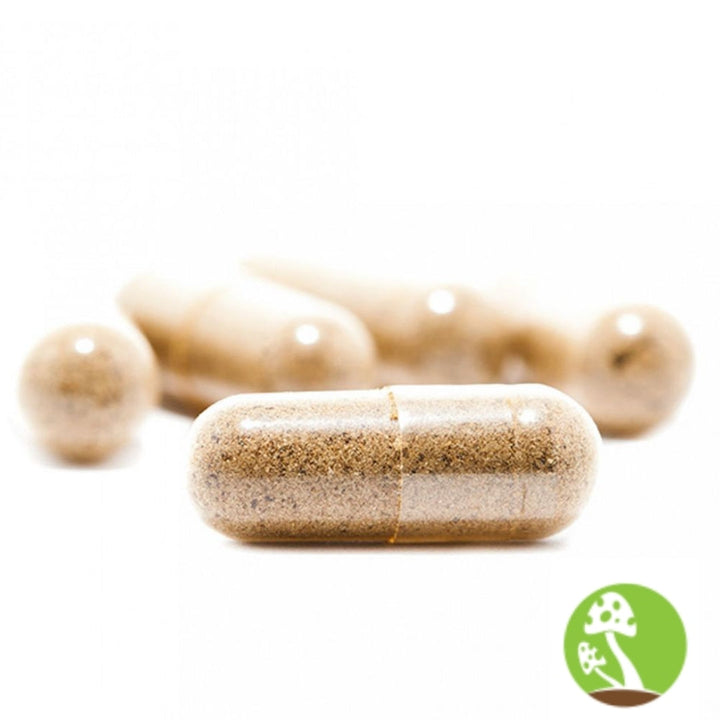 Improved Health Turkey Tail Mushroom Capsule
