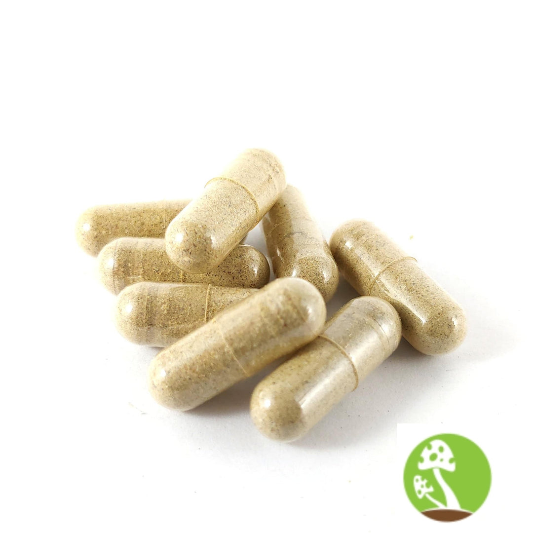 Improved Health REISHI Mushroom Capsule