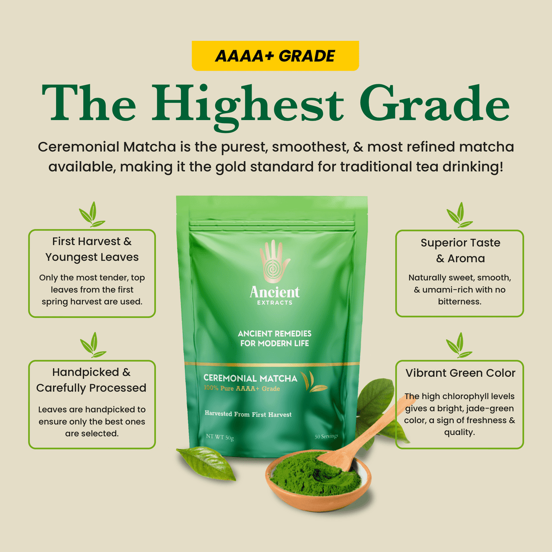 Ancient Extracts - Ceremonial Pair - Matcha & Hojicha
